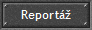Report