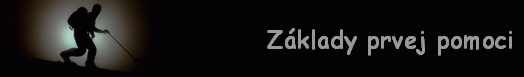 Z�klady prvej pomoci