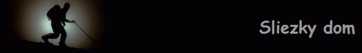 Sliezky dom