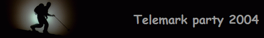 Telemark party 2004