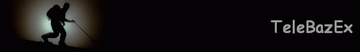TeleBazEx